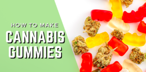 Cannabis Gummies .