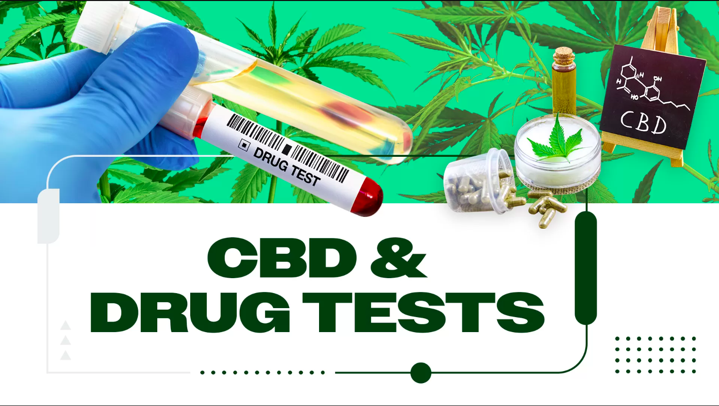 Does CBD Show up on Drug Tests Probation?