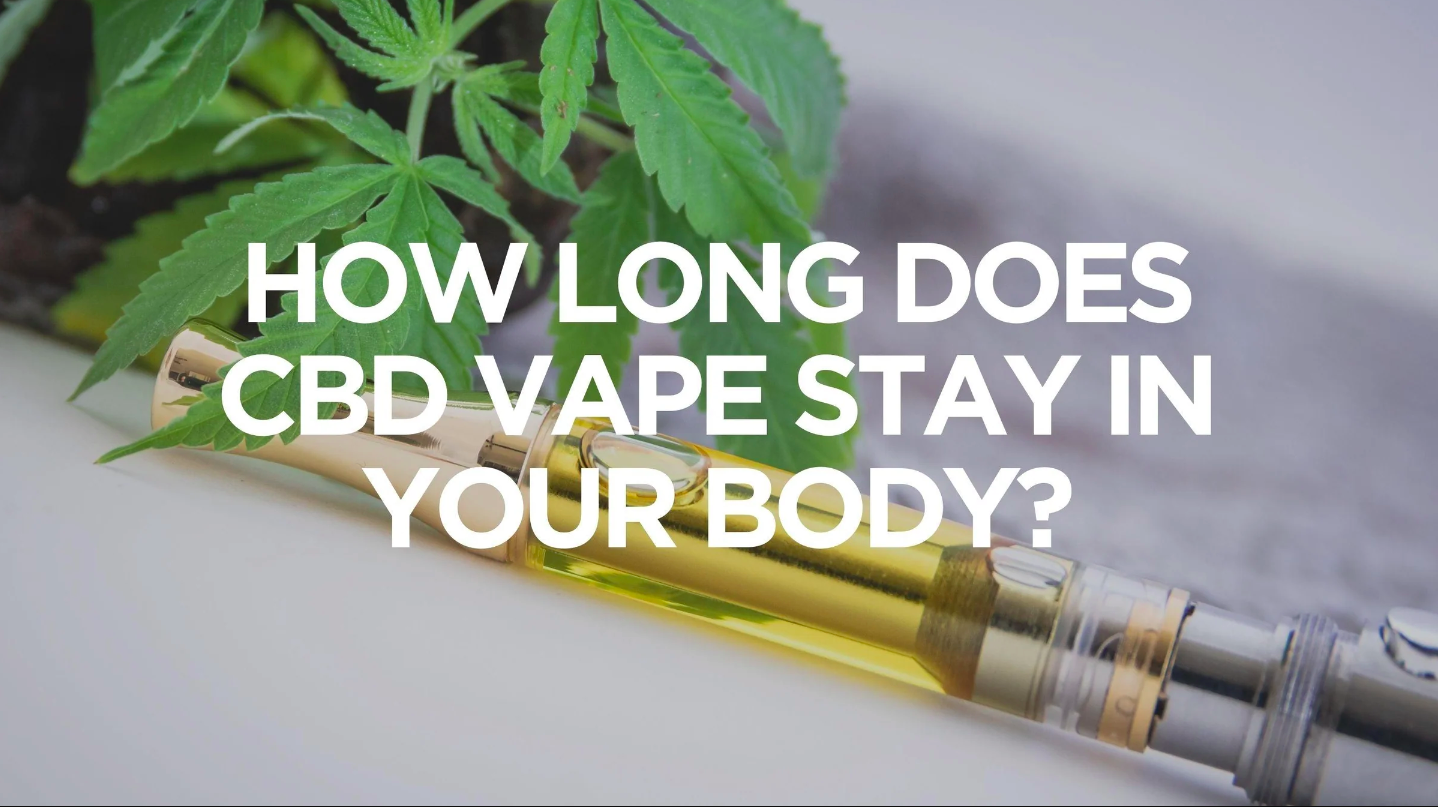 How Long Does CBD Stay in your System? (2024)