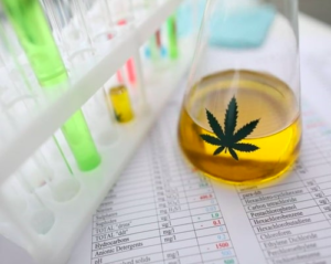 CBD drug test