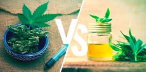 CDB OIL VS HEMP OIL