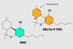 HHC vs Delta 8