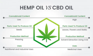 Hemp Oil vs. CBD oil For Dogs