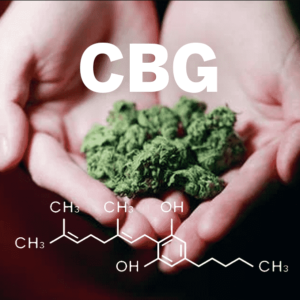 What is CBG good for?