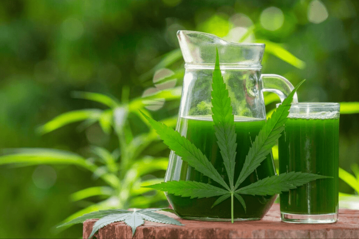 Best THC Detox Secrets: Cleanse Your Body Naturally