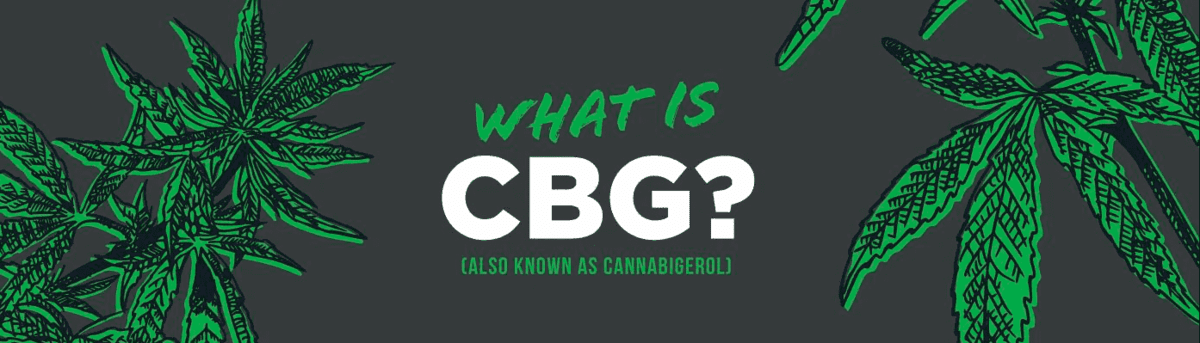 What is CBG? Uses, Benefits and Side Effects