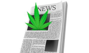 CBD News