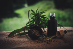 CBD Oil For Epilepsy