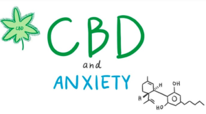 CBD and Anxiety