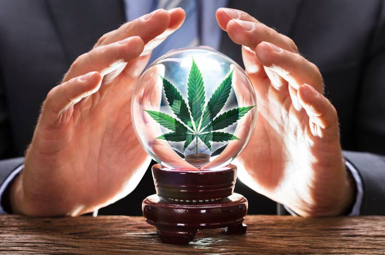 The Hottest Cannabis News Stories You Can’t Miss!