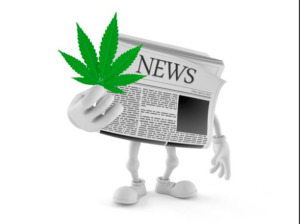 Marijuana News