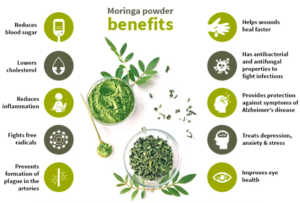 Moringa Benefits