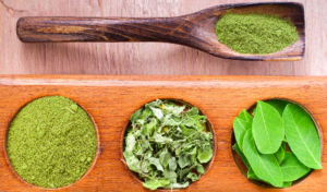 What is Moringa?