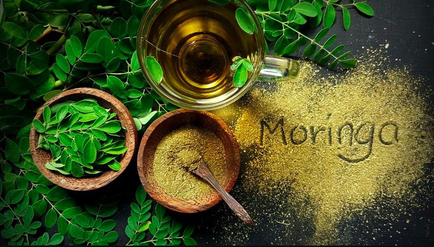 Moringa powder Benefits, Side Effects and Risks (2024)